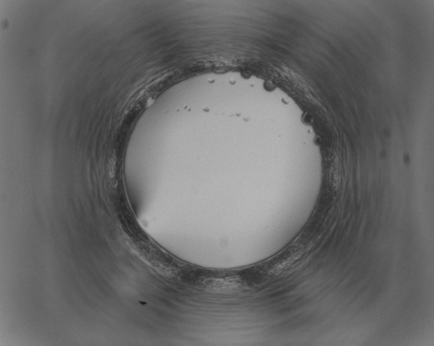 X0000067370548200604281753