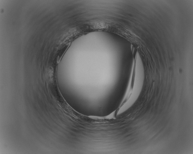 X0000067370556200604281753