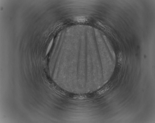 X0000067370559200604281753