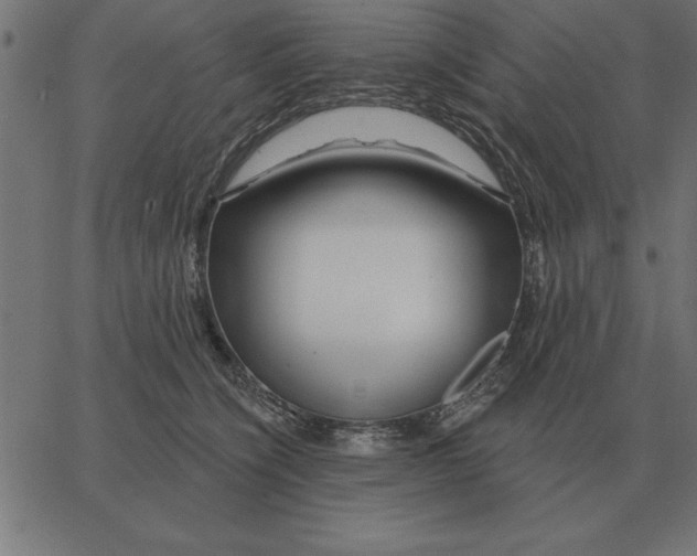 X0000067370564200604281753