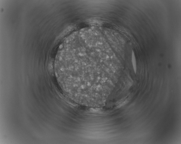 X0000067370573200604281754