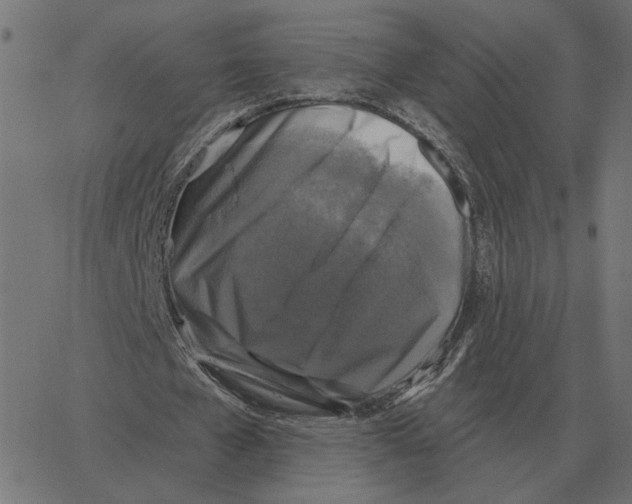 X0000067370577200604281753