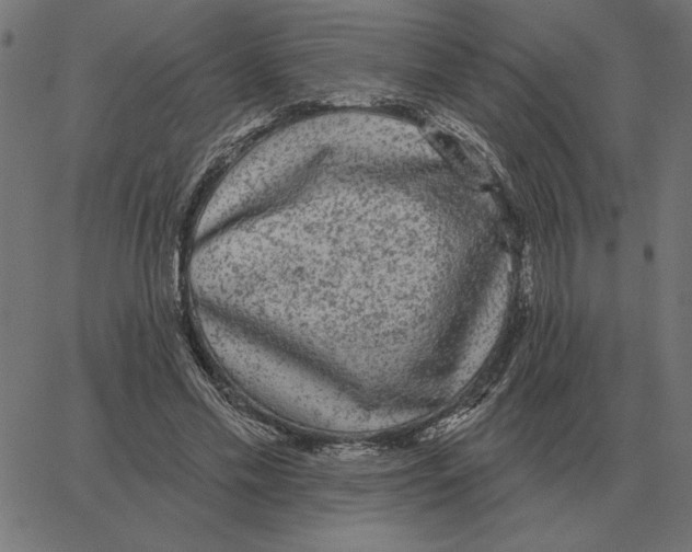 X0000067370589200604281753
