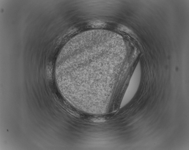 X0000067370604200604281752