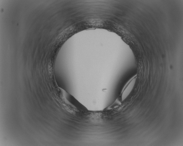 X0000067370609200604281752