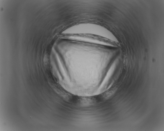 X0000067370623200604281752
