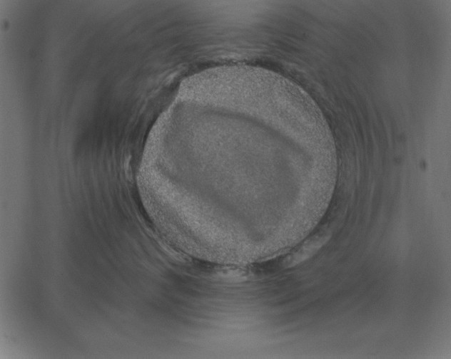 X0000067370624200604281752