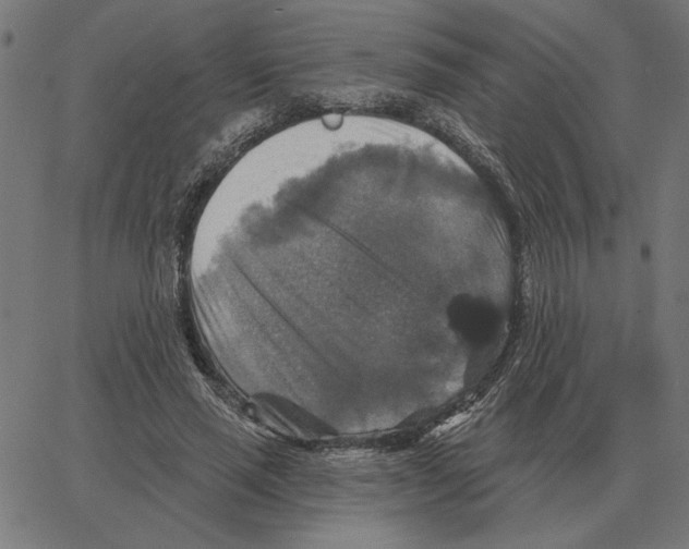 X0000067370637200604281751