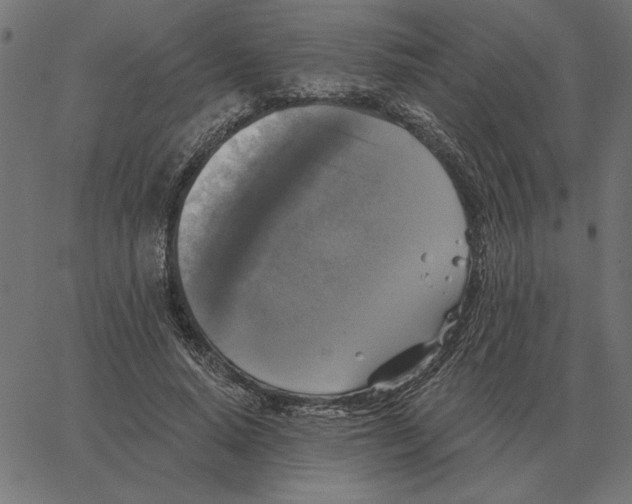 X0000067370640200604281751