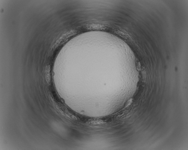 X0000067370642200604281751