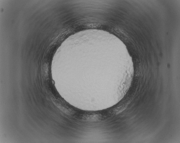 X0000067370646200604281751