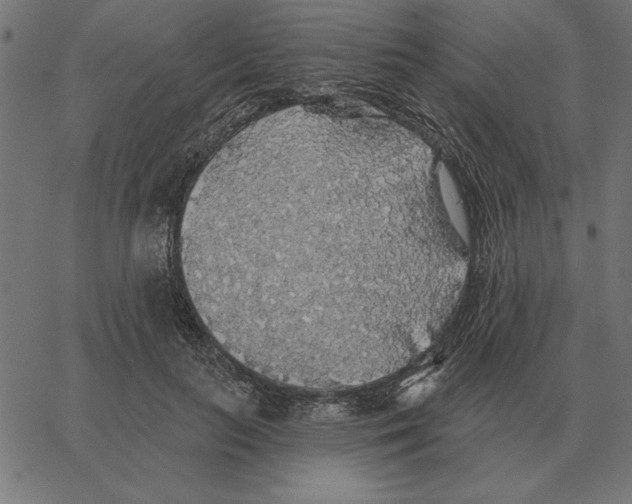 X0000067370647200604281751