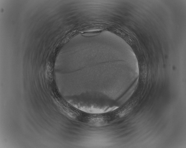 X0000067370653200604281752