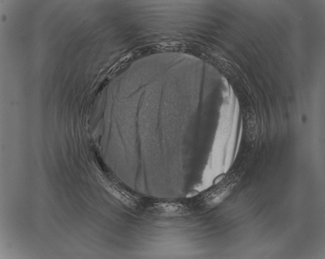 X0000067370654200604281752
