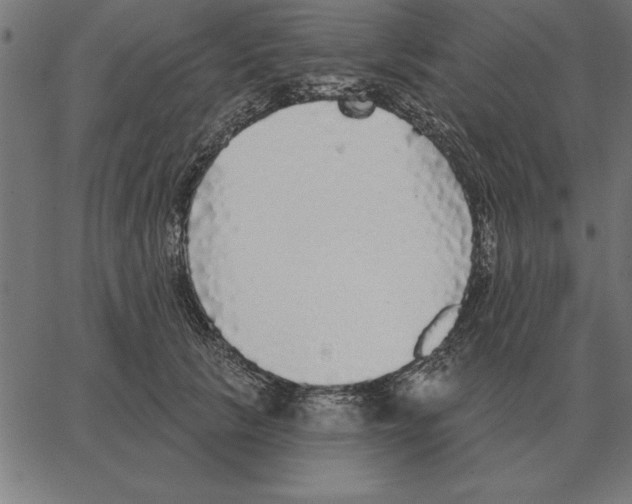 X0000067370657200604281752