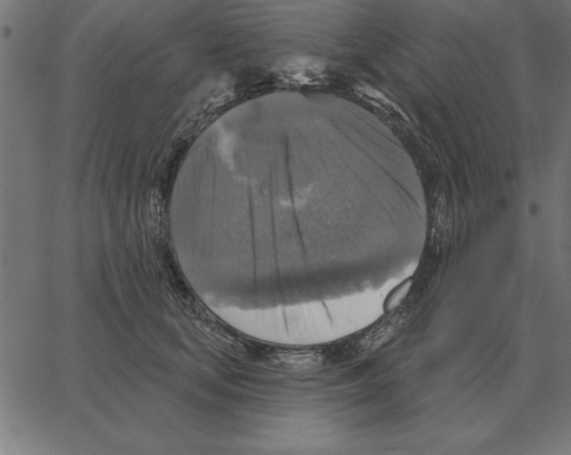 X0000067370659200604281752