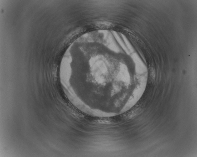 X0000067370668200604281752