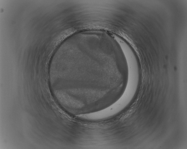 X0000067370673200604281751