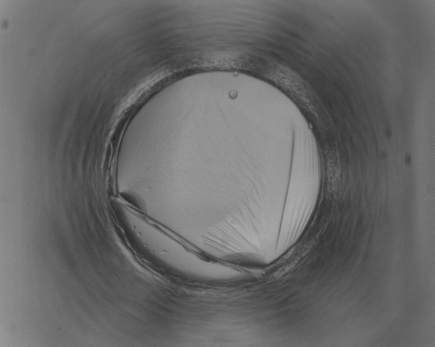X0000067370674200604281751