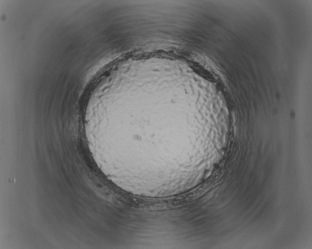 X0000067370675200604281751