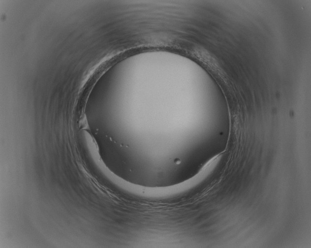 X0000067370676200604281751