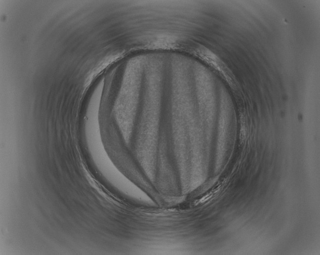 X0000067370677200604281751