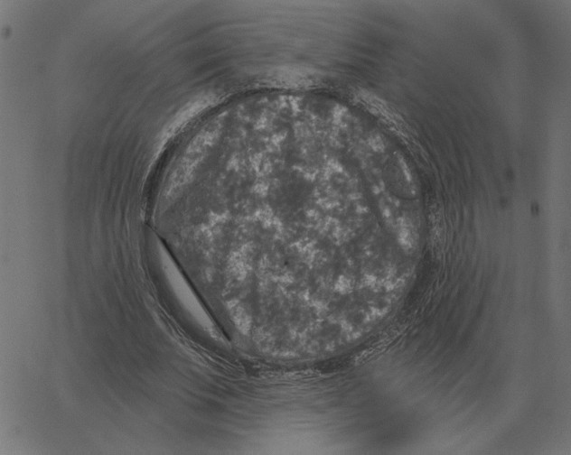 X0000067370679200604281751