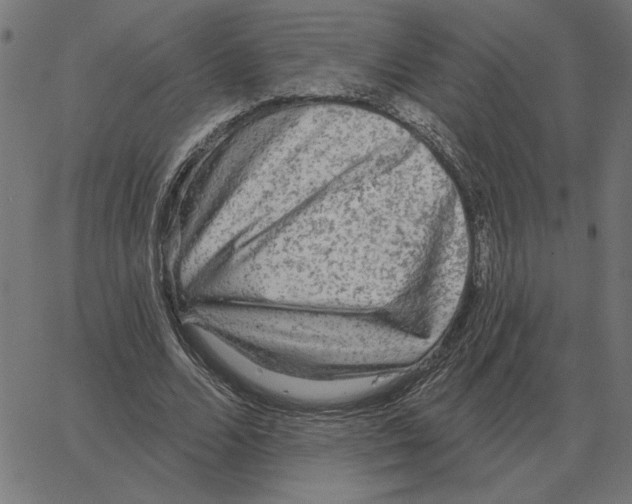 X0000067370680200604281751