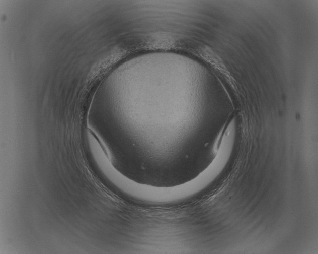 X0000067370681200604281751