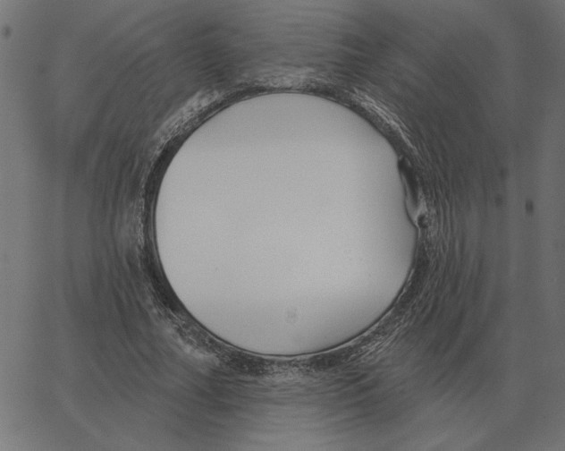 X0000067370682200604281751