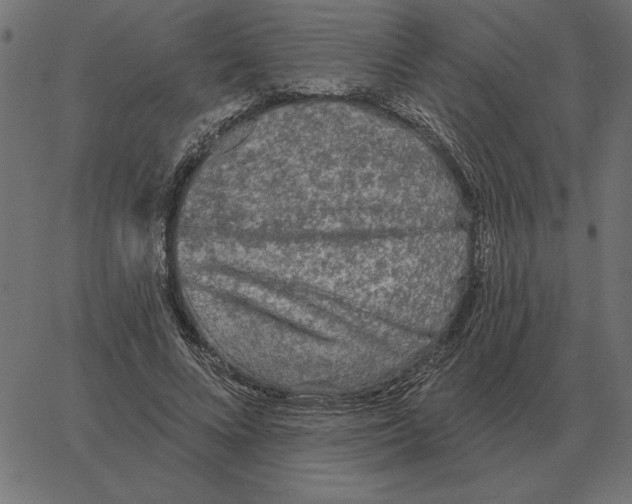 X0000067370688200604281751