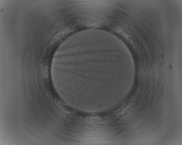X0000067370689200604281751