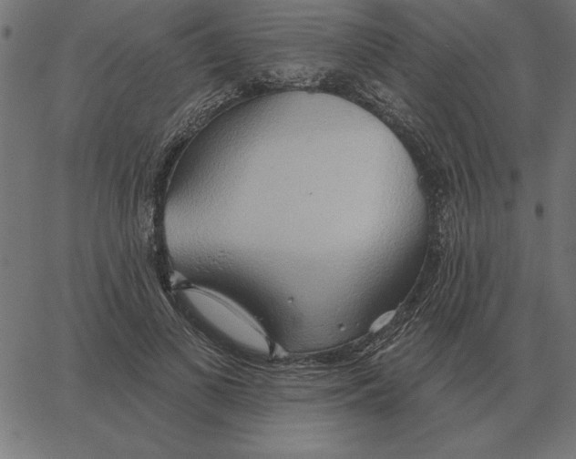 X0000067370693200604281751