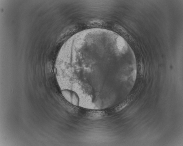X0000067370711200604281750