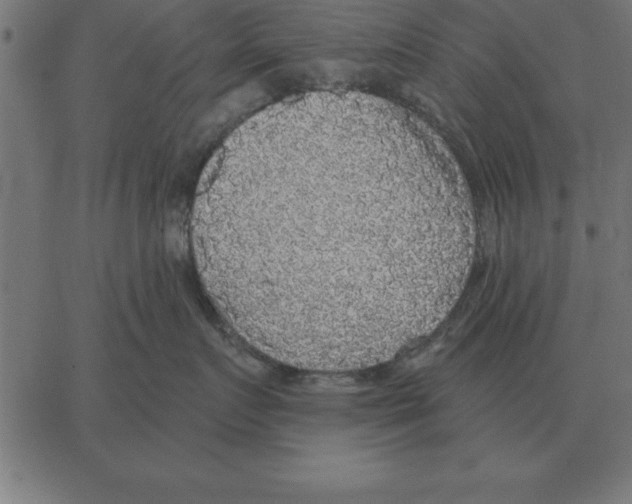X0000067370719200604281750