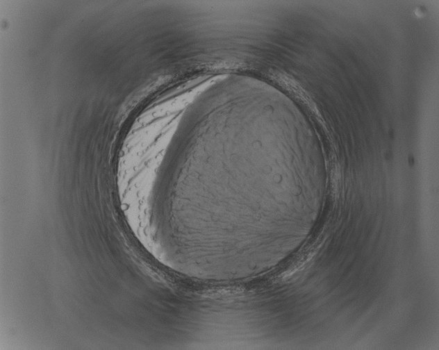 X0000067370721200604281750