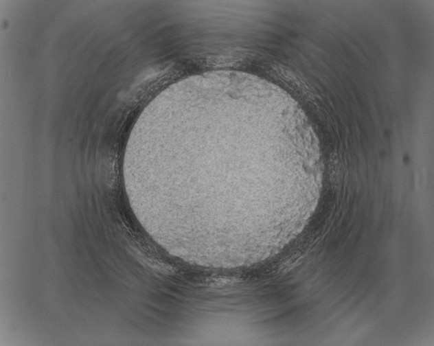 X0000067370741200604281750