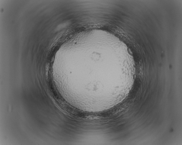 X0000067370742200604281750
