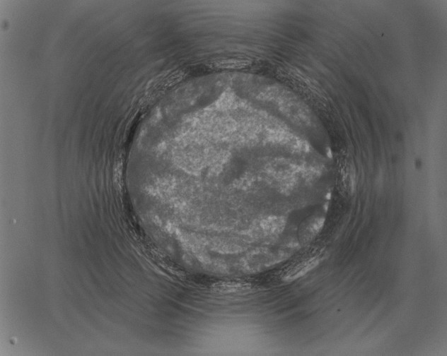X0000067370745200604281750