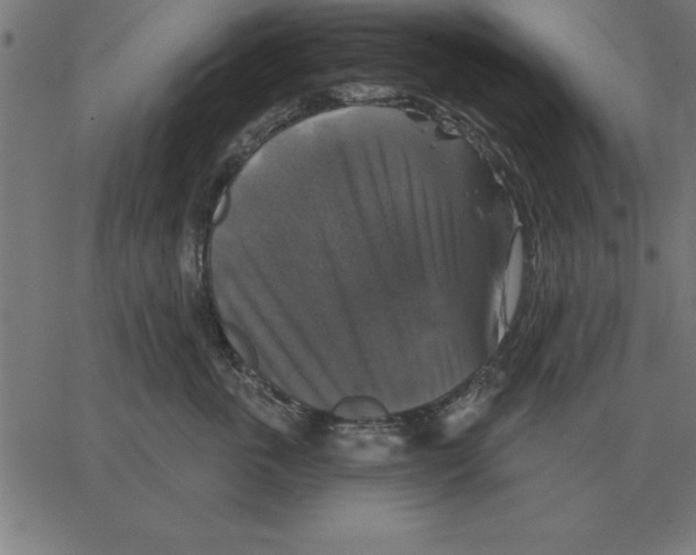 X0000067370763200604281750