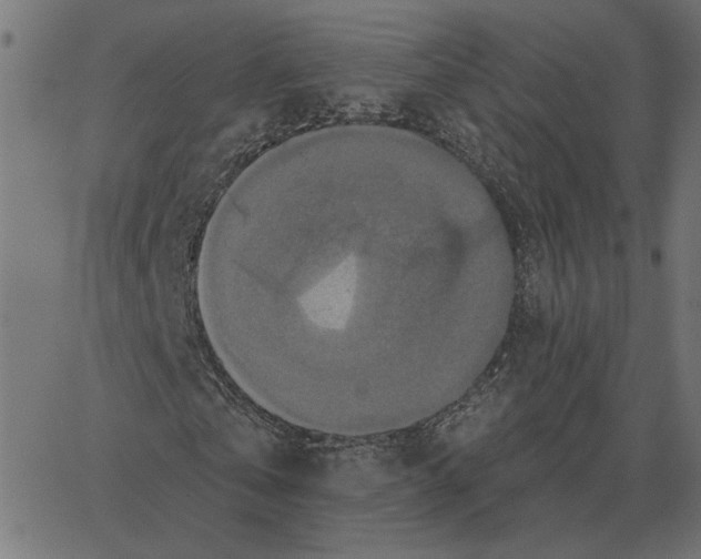 X0000067370769200604281750