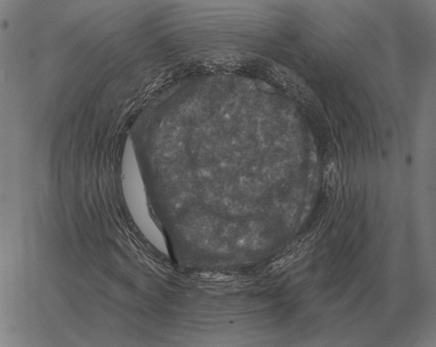 X0000067370772200604281749