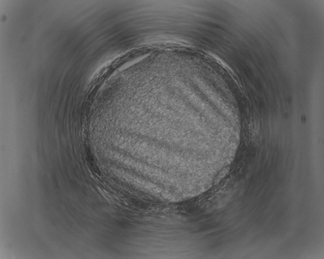X0000067370775200604281749