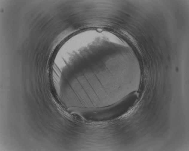 X0000067370779200604281749