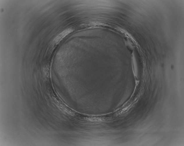 X0000067370785200604281749