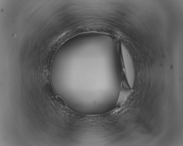 X0000067370822200604281748