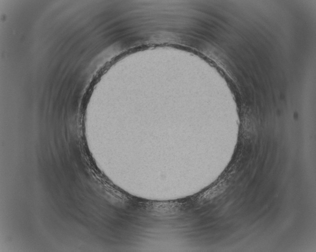 X0000067370832200604281748