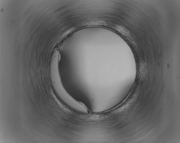 X0000067370841200604281748