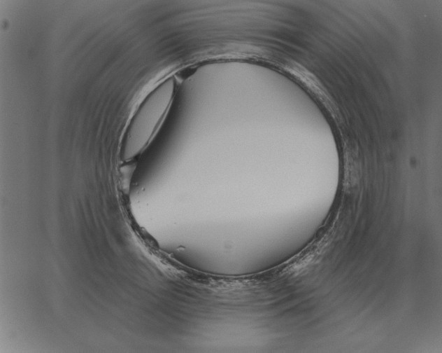 X0000067370850200604281749