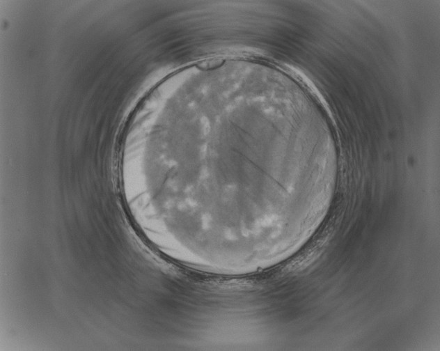 X0000067370851200604281749